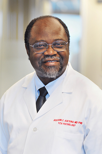Adekunle Michael Adesina, M.D.
