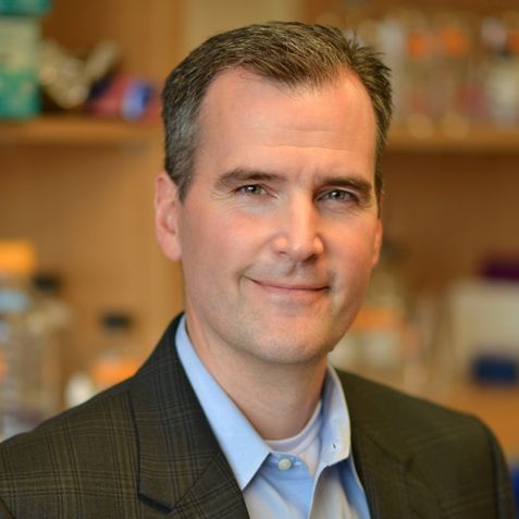 View profile: Matthew N. Rasband, Ph.D.