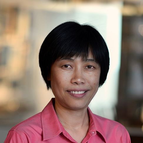 Yi Wang