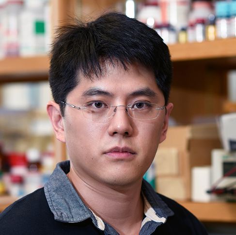 Reuben H Fan, Ph.D.