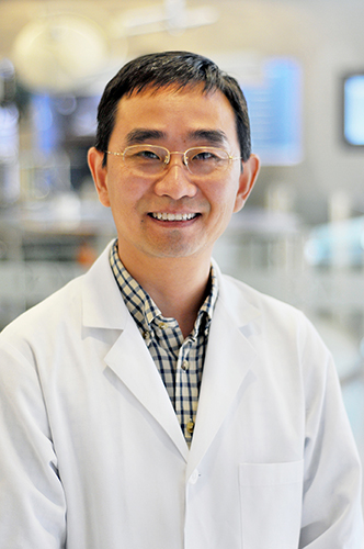 Wen Bu, Ph.D.