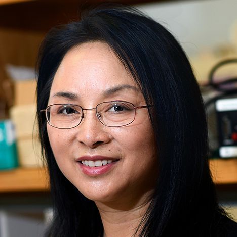 Hongyi Zhou