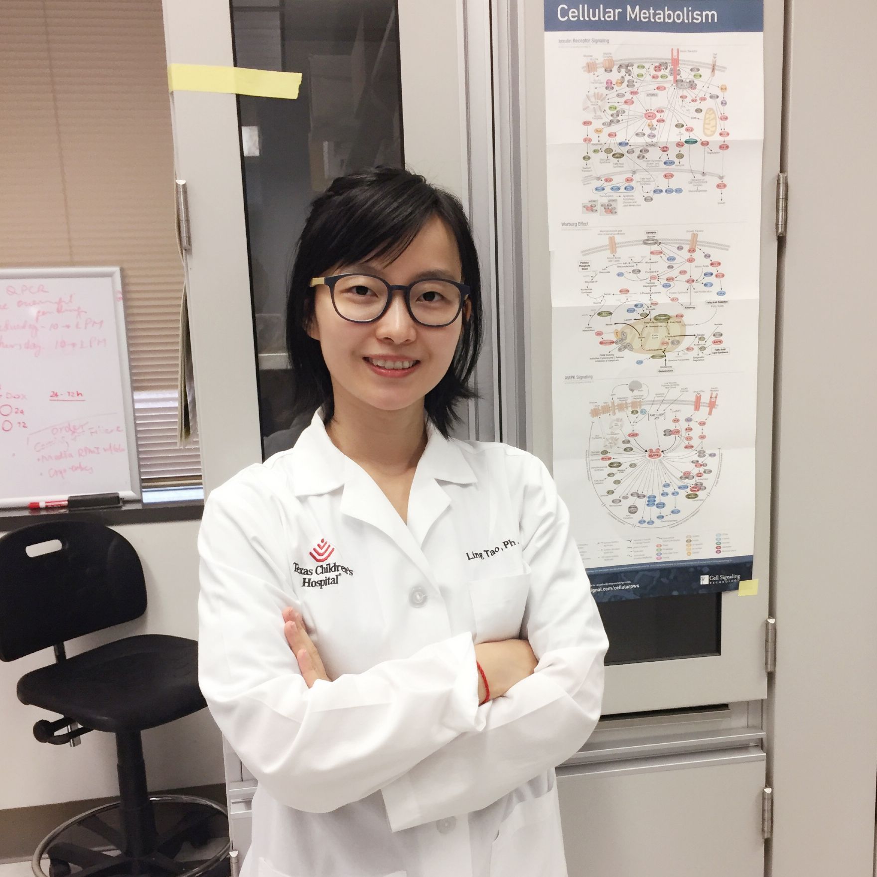 Ling Tao, Ph.D.