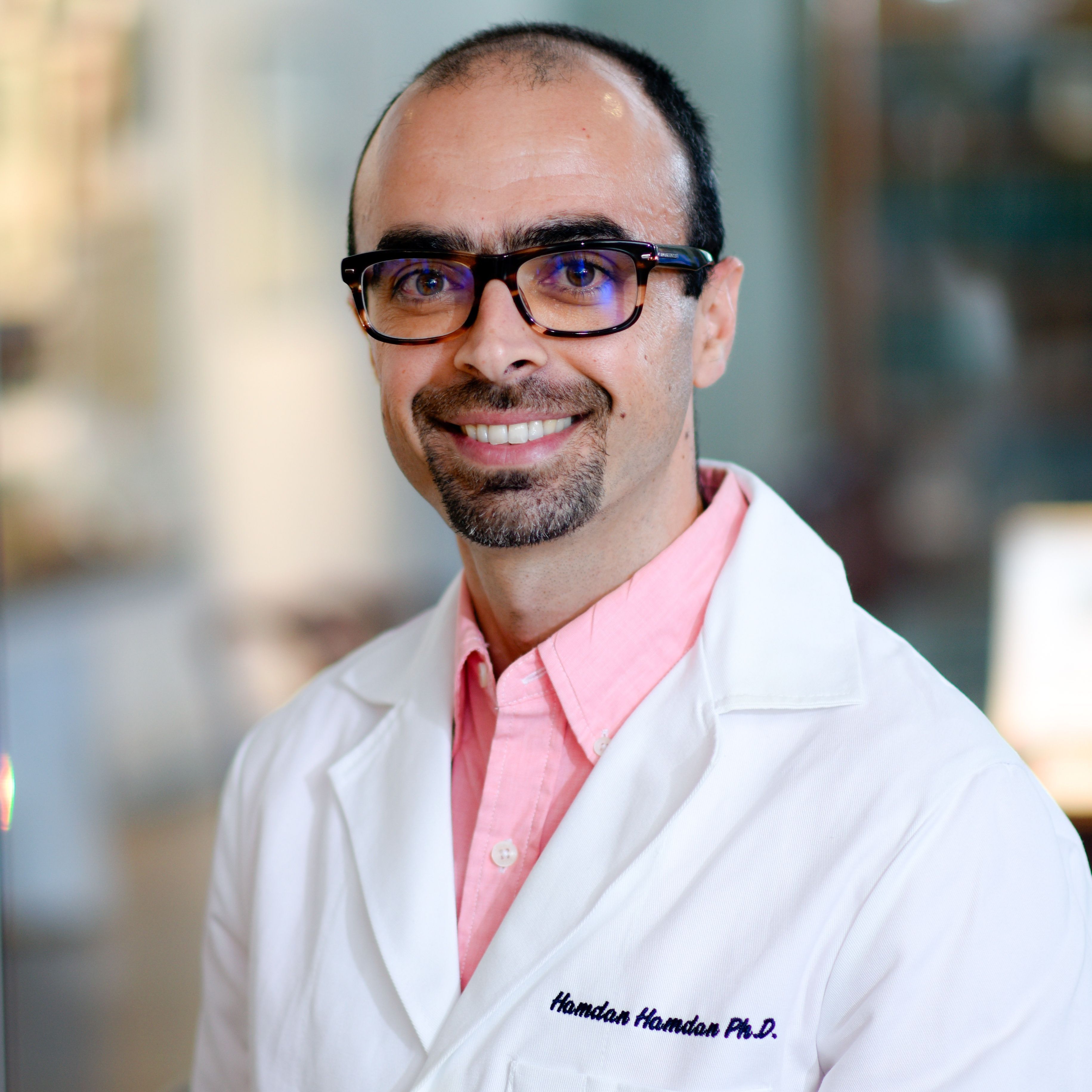 Hamdan Hamdan, Ph.D.