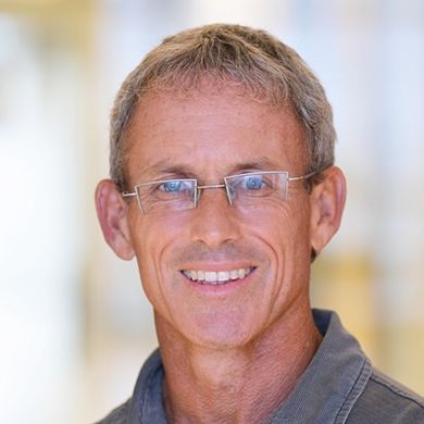 David M. De Lemos, M.D.