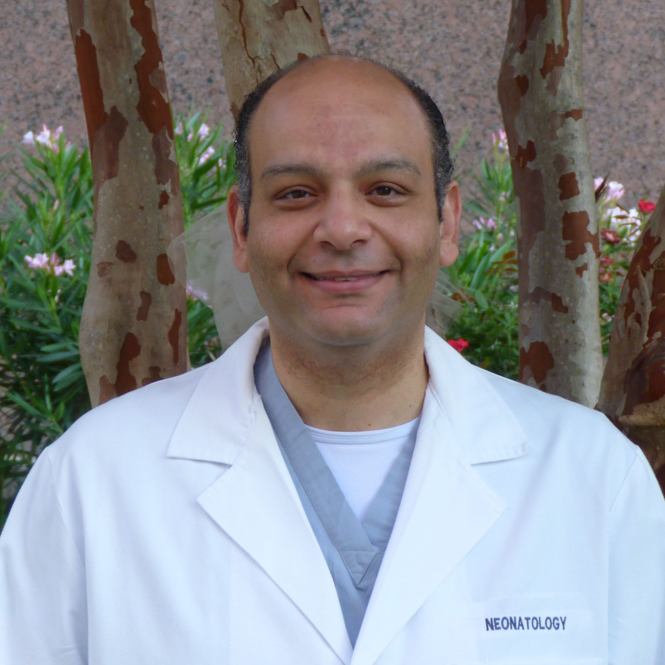 Ahmed Lofty El-Saie