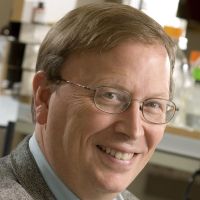 David L Nelson, Ph.D.