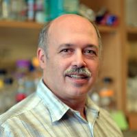 Paul J Pfaffinger, Ph.D.