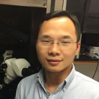 Guang Chen