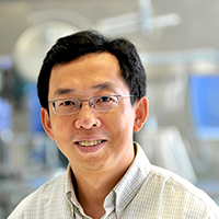 Hao Liu, Ph.D.